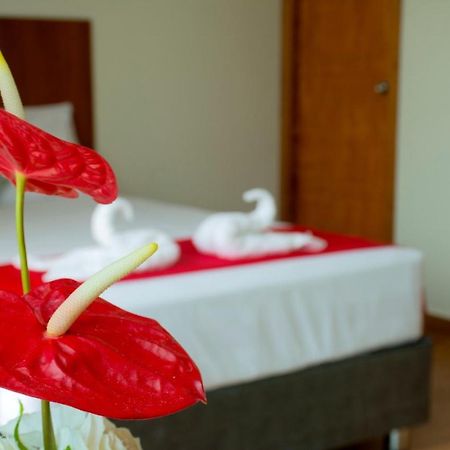 Hotel La Palmera De Oro Tarapoto Dış mekan fotoğraf
