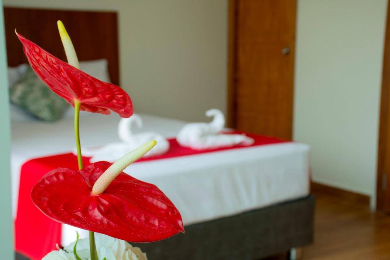 Hotel La Palmera De Oro Tarapoto Dış mekan fotoğraf
